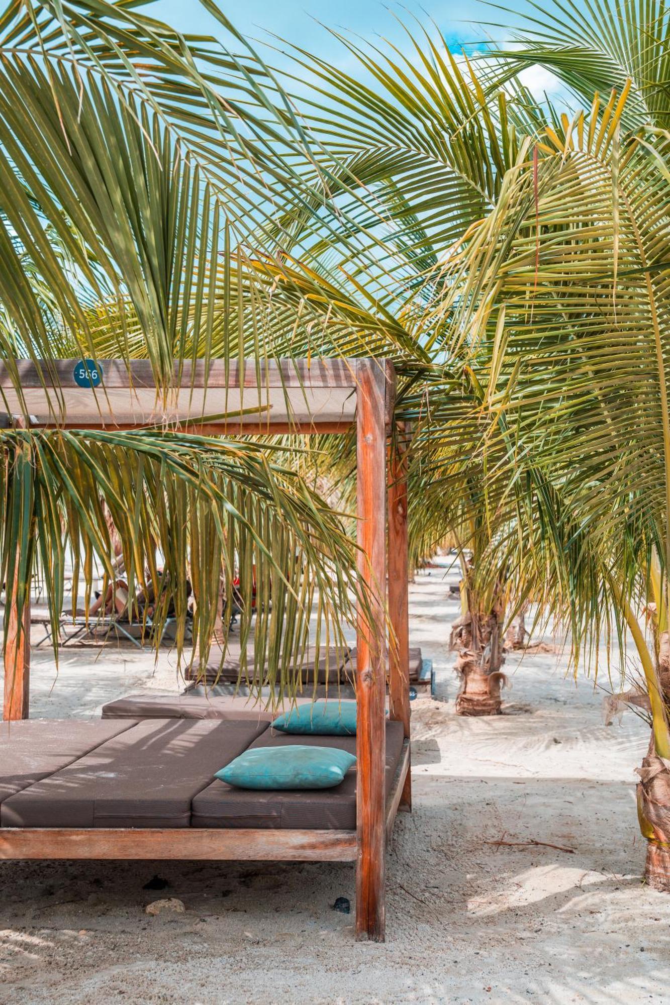 Chogogo Dive & Beach Resort Bonaire Kralendijk  Bagian luar foto
