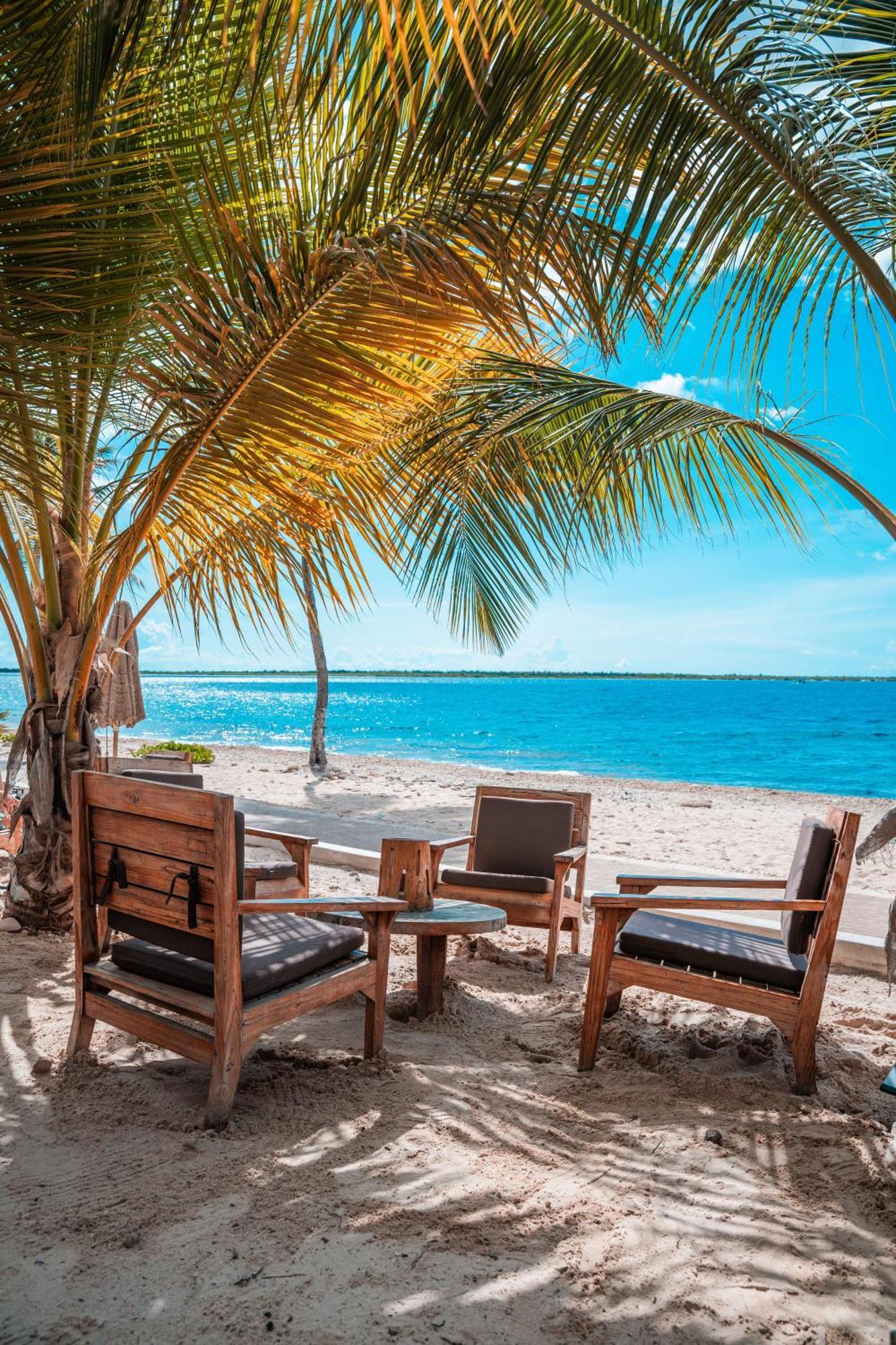 Chogogo Dive & Beach Resort Bonaire Kralendijk  Bagian luar foto